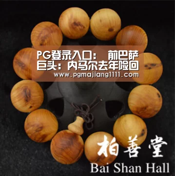 PG登录入口