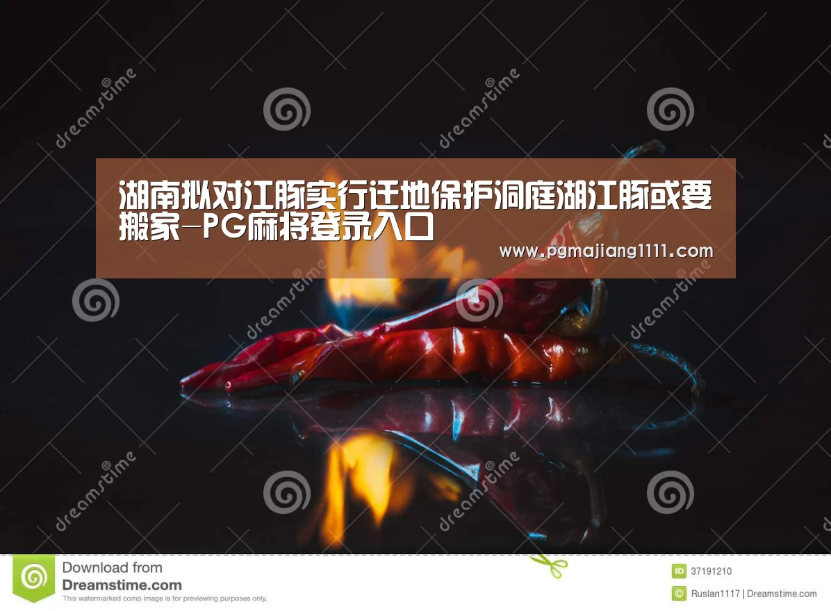 PG登录入口