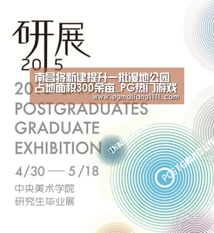 PG麻将手机版下载
