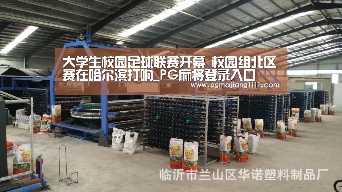 PG麻将登录入口