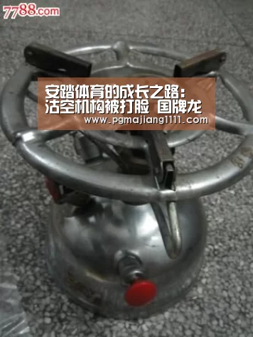 安踏体育的成长之路:沽空机构被打脸 国牌龙头继续拥抱未来“PG登录入口”(图4) PG登录入口
