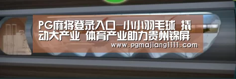PG麻将登录入口-小小羽毛球 撬动大产业 体育产业助力贵州锦屏打造全面小康新模式(图1) PG热门游戏